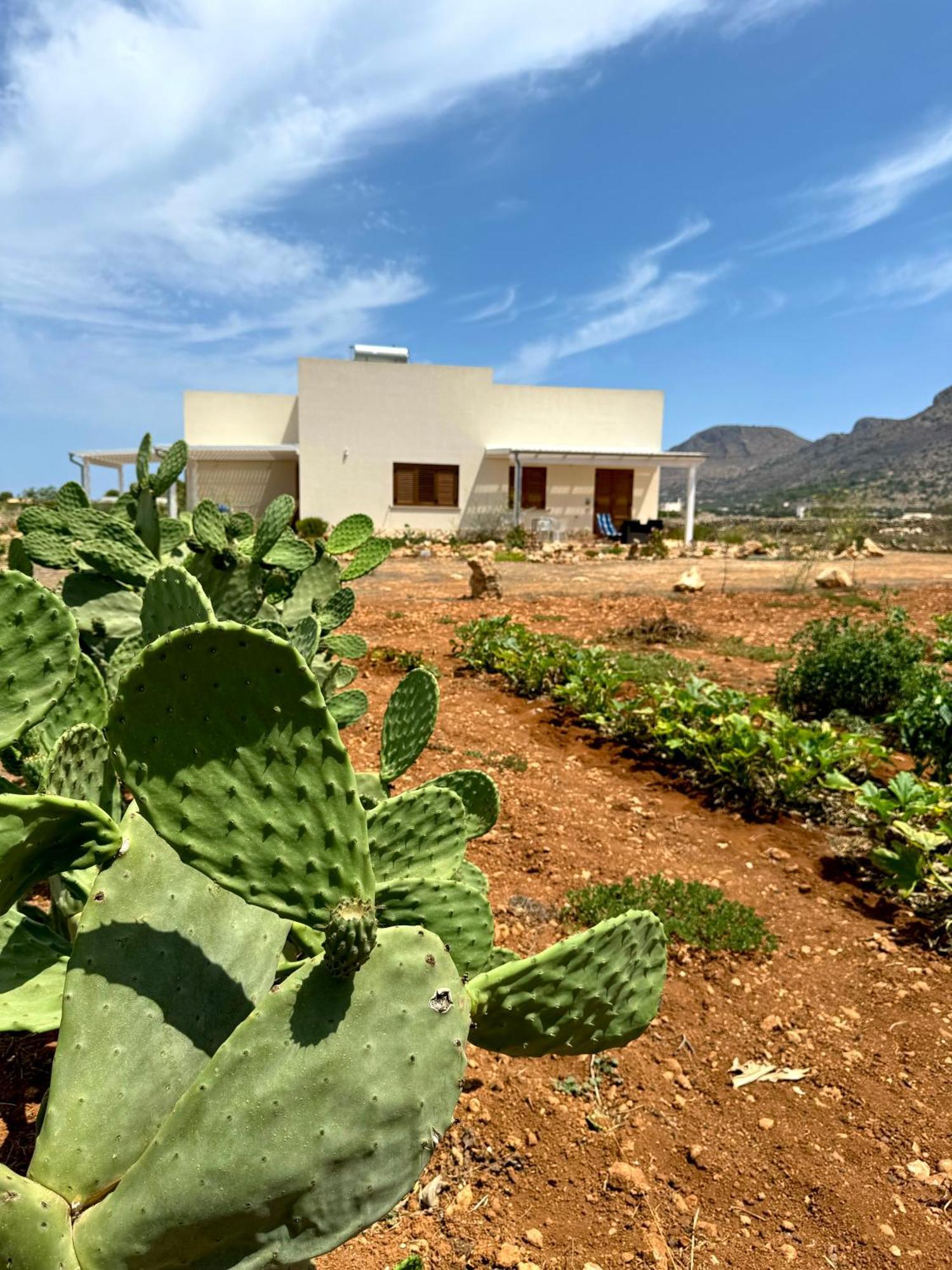 Aria Case Vacanze Favignana Eksteriør bilde