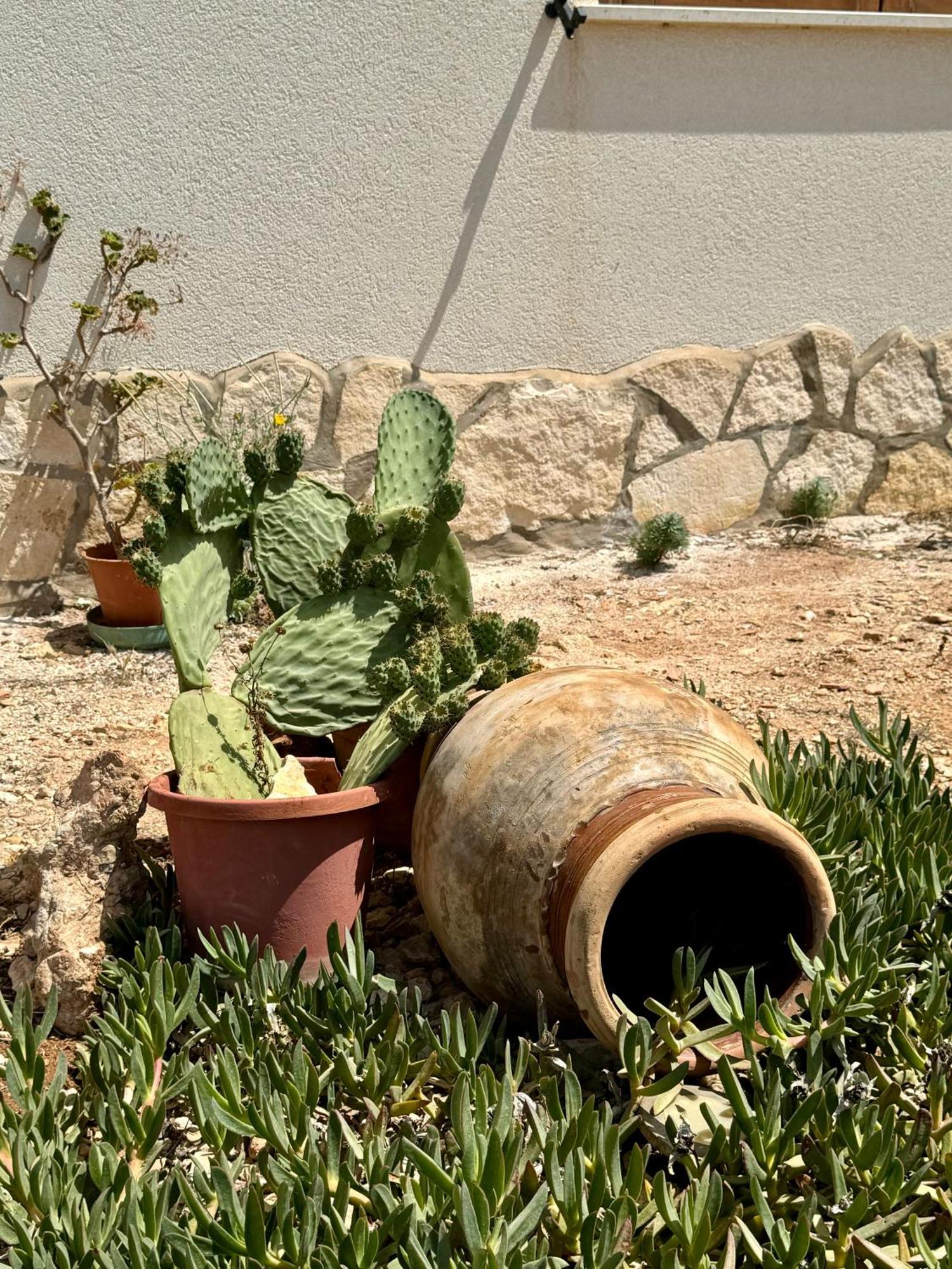 Aria Case Vacanze Favignana Eksteriør bilde